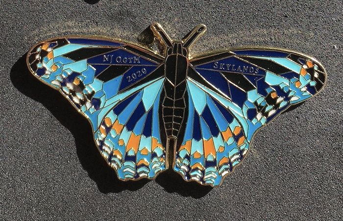 Skylands Butterfly Pin