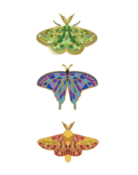 A 3 piece set of green, purple, and red moths.
